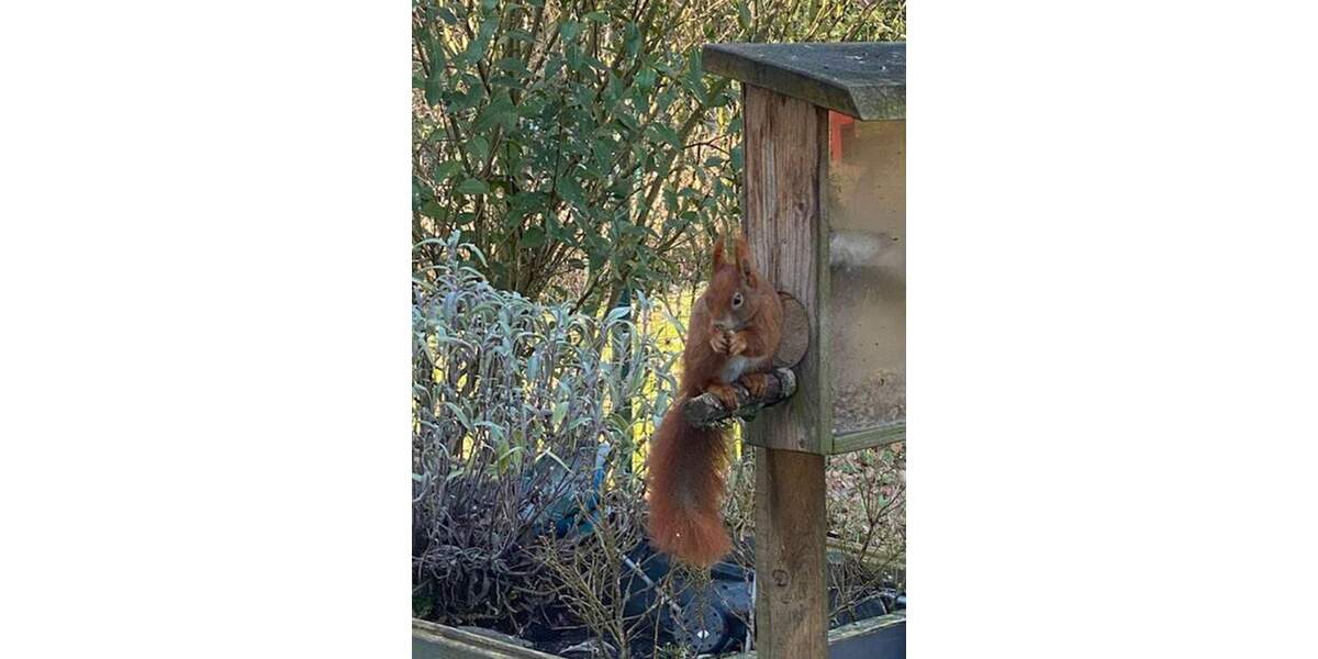 Mehrfamilienhaus, Wohnhaus Husum - 6 Zimmer, 231 m&sup2;, 444.900&euro; | Angebot:25661782