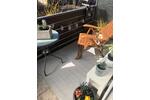 Erdgeschoßwohnung Wennigsen (Deister) - 1 Zimmer, 33 m&sup2;, 420&euro; | Angebot:26365359