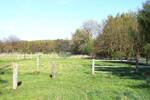 Bauernhaus, Landhaus Wedemark Negenborn - 1 Zimmer, 309 m&sup2;, 890.000&euro; | Angebot:26695463