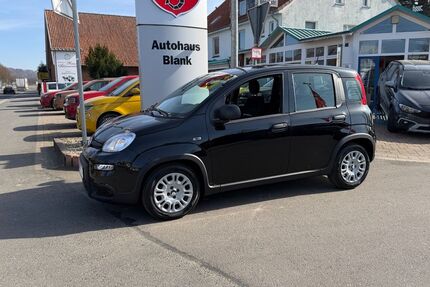 Fiat Panda 10.788 km 12.700 &euro; Gehrden 30989