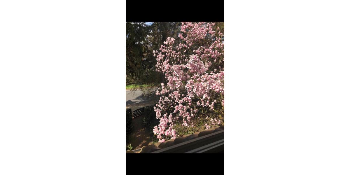 Etagenwohnung Wedemark - 1 Zimmer, 25 m&sup2;, 600&euro; | Angebot:25029569