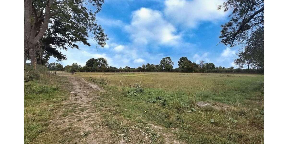 Grundstück Neustadt - 57.000&euro; | Angebot:24902947