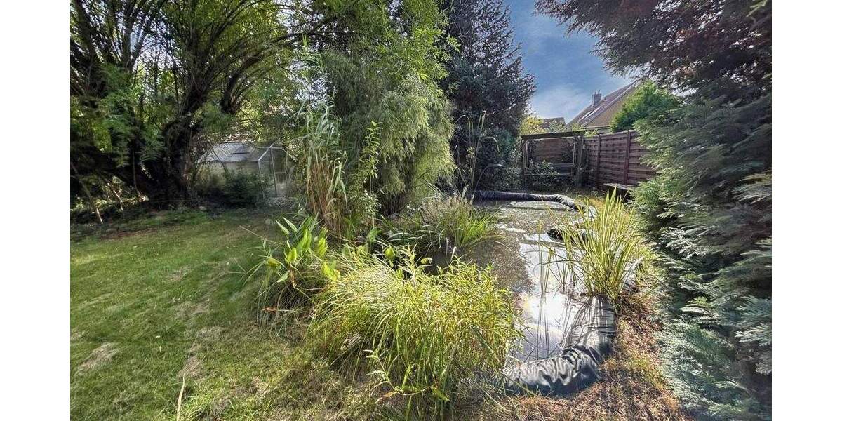 Einfamilienhaus Hagenburg Altenhagen - 6 Zimmer, 92 m&sup2;, 255.000&euro; | Angebot:25733381