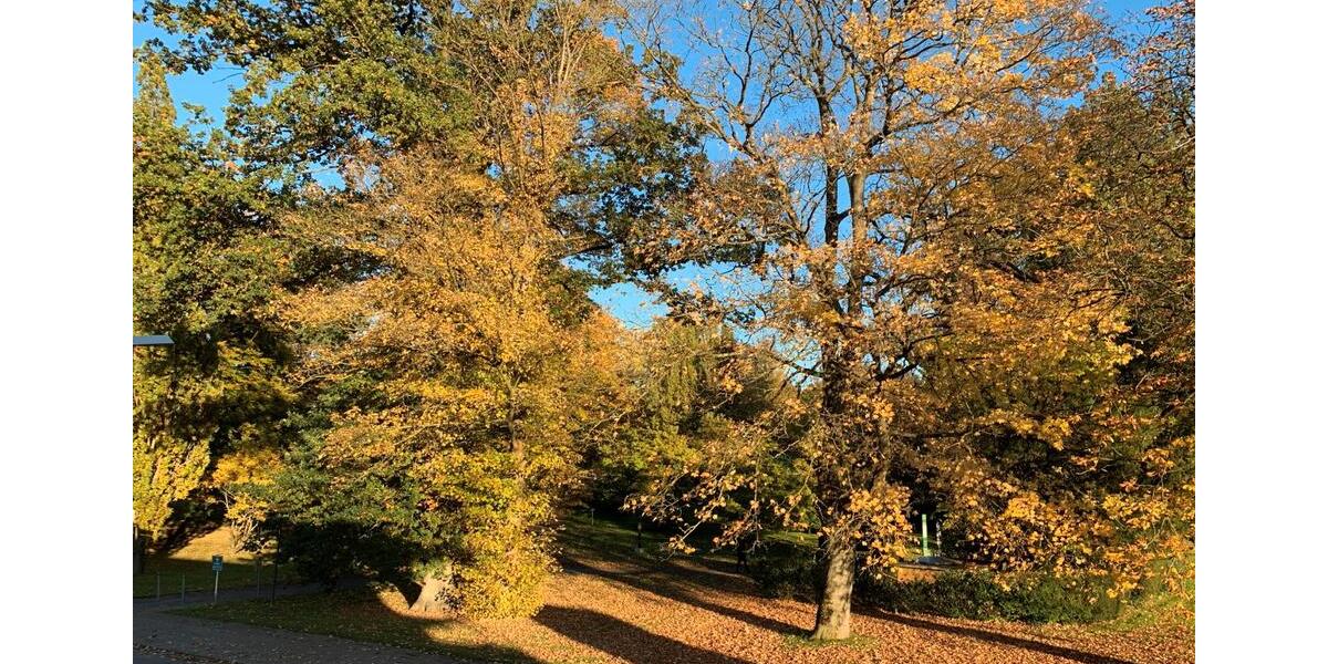 Reihenhaus Bad Münder am Deister - 6 Zimmer, 145 m&sup2;, 1.700&euro; | Angebot:26366784