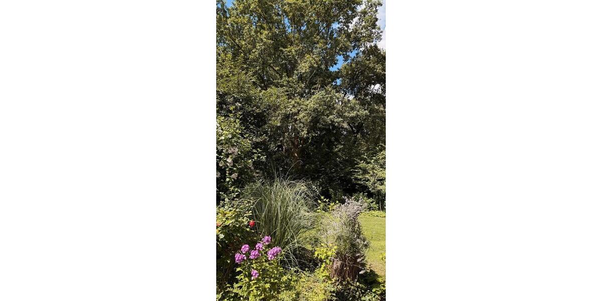 Reihenhaus Hannover Buchholz-Kleefeld - 5.5 Zimmer, 140 m&sup2;, 745.000&euro; | Angebot:27097762