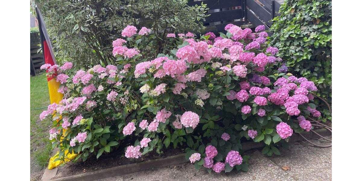 Einfamilienhaus Hannover Sahlkamp - 6 Zimmer, 212 m&sup2;, 699.000&euro; | Angebot:25742747