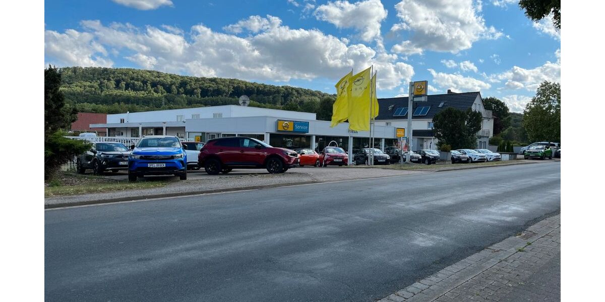 Opel Grandland (X) 32.941 km 24.790 &euro; Springe 31832