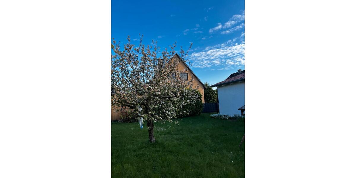 Einfamilienhaus Hannover Buchholz-Kleefeld - 3 Zimmer, 70 m&sup2;, 1.550&euro; | Angebot:26329973