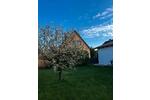 Einfamilienhaus Hannover Buchholz-Kleefeld - 3 Zimmer, 70 m&sup2;, 1.550&euro; | Angebot:26329973