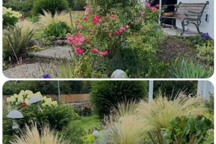 Haus Burgdorf - 5 Zimmer, 130 m&sup2;, 330.000&euro; | Angebot:25838827