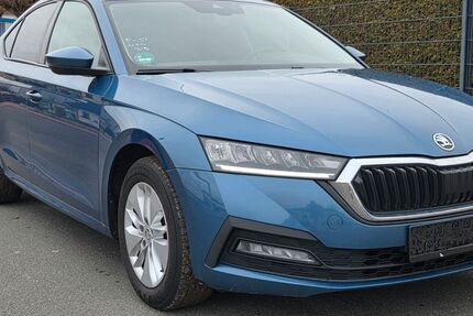 Skoda Octavia 167.256 km 15.900 &euro; Garbsen 30827