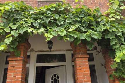 Haus Springe Gestorf - 8 Zimmer, 180 m&sup2;, 385.000&euro; | Angebot:25744165