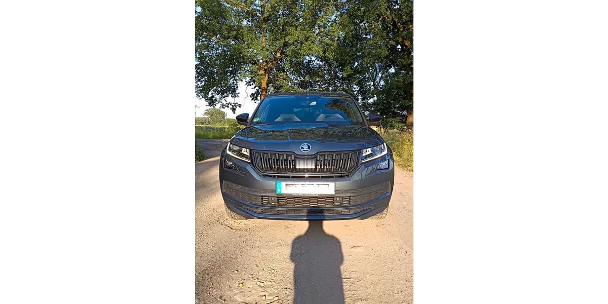 Skoda Kodiaq 159.000 km 25.600 &euro; Rodewald 31637