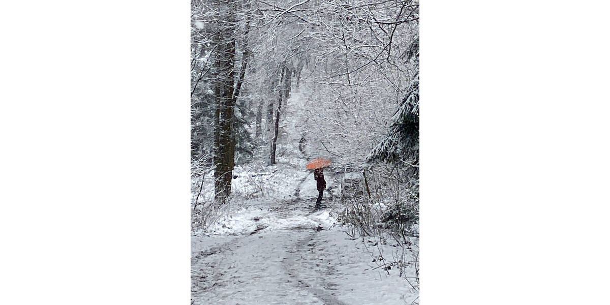 Grundstück Messenkamp - 285.000&euro; | Angebot:25705847