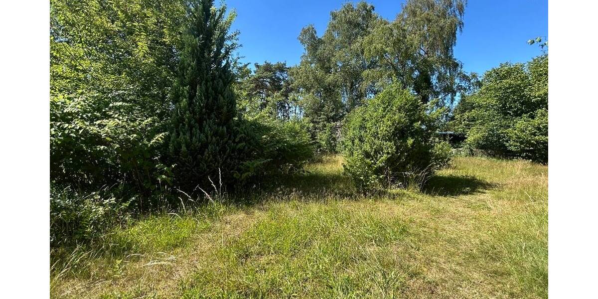 Einfamilienhaus Rodewald - 7 Zimmer, 223 m&sup2;, 275.000&euro; | Angebot:25694584