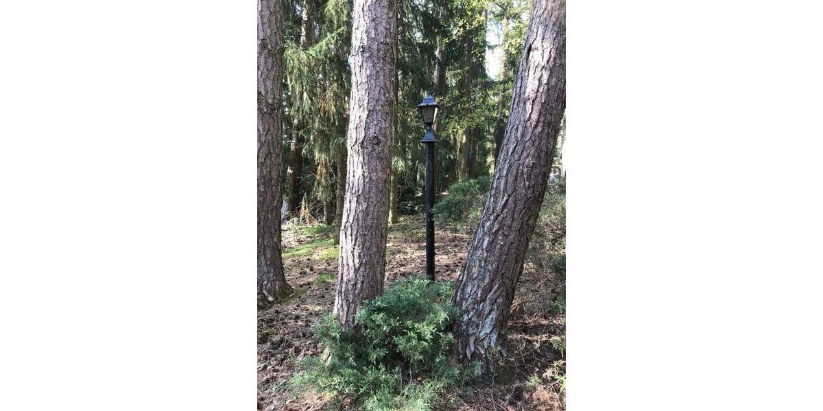 Grundstück Lindwedel - 175.000&euro; | Angebot:25772297