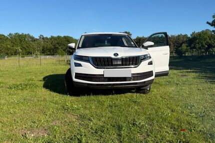 Skoda Kodiaq 131.173 km 19.600 &euro; Rodewald 31637