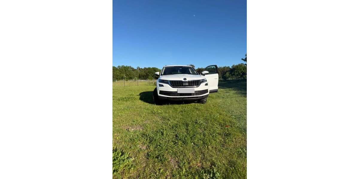 Skoda Kodiaq 131.173 km 19.600 &euro; Rodewald 31637
