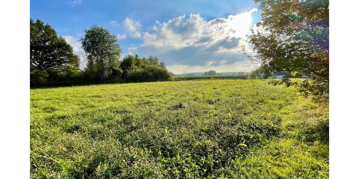 Grundstück Messenkamp - 285.000&euro; | Angebot:25746313