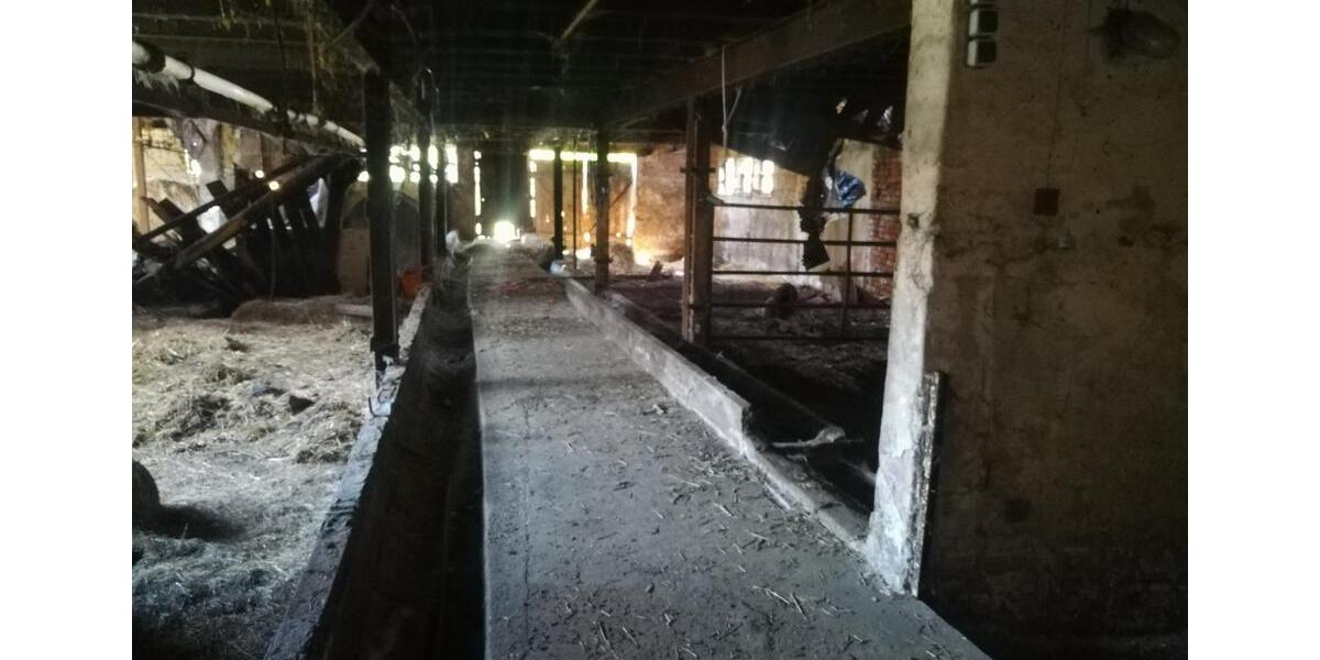 Bauernhaus, Landhaus Lehrte - 12 Zimmer, 300 m&sup2;, 600.000&euro; | Angebot:24841742