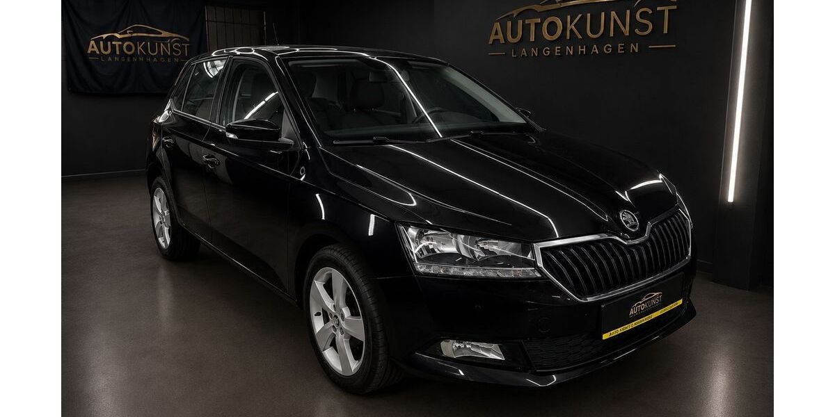 Skoda Fabia 107.197 km 8.490 &euro; Langenhagen 30851