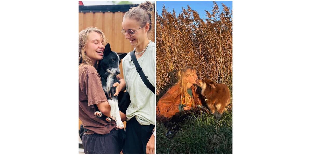 Erdgeschoßwohnung Hannover Vahrenwald-List - 1 Zimmer, 30 m&sup2;, 630&euro; | Angebot:25858517