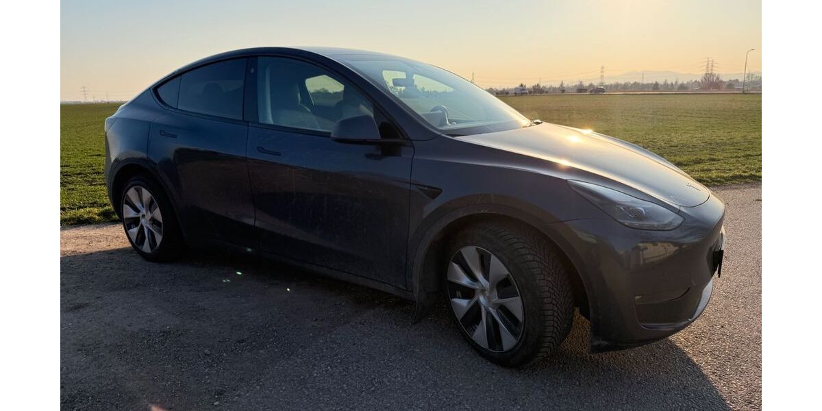 Tesla Model Y 85.000 km 29.750 &euro; konstanz 78462
