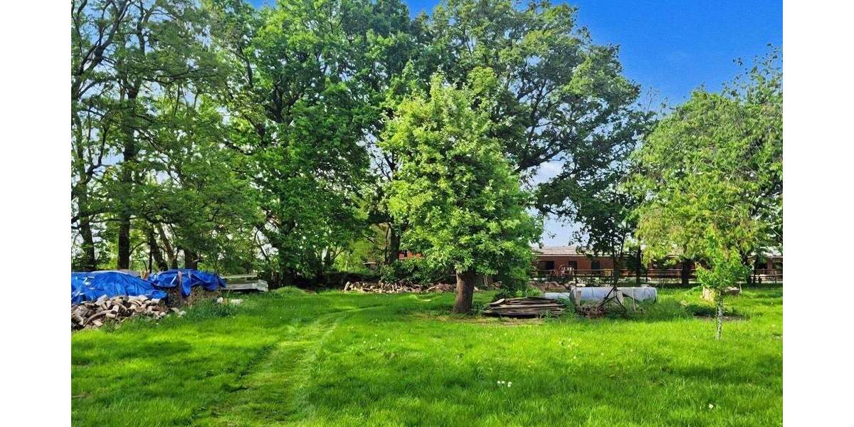 Bauernhaus, Landhaus Rodewald - 1 Zimmer, 454 m&sup2;, 349.000&euro; | Angebot:25777789