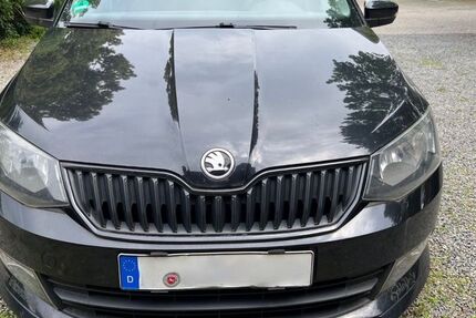 Skoda Fabia 168.102 km 4.999 &euro; Springe 31832