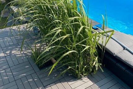 Haus Wedemark - 6 Zimmer, 167 m&sup2;, 597.000&euro; | Angebot:25394563