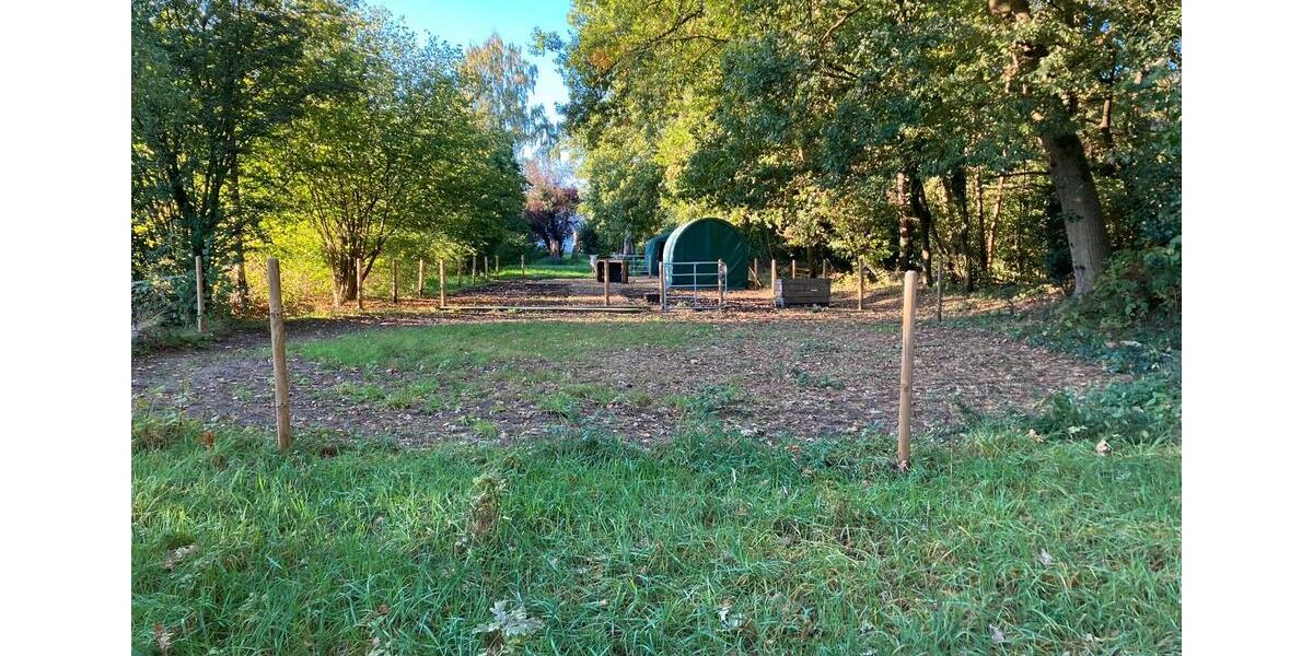 Einfamilienhaus Garbsen Ortschaft Horst - 7 Zimmer, 213 m&sup2;, 495.000&euro; | Angebot:25967666