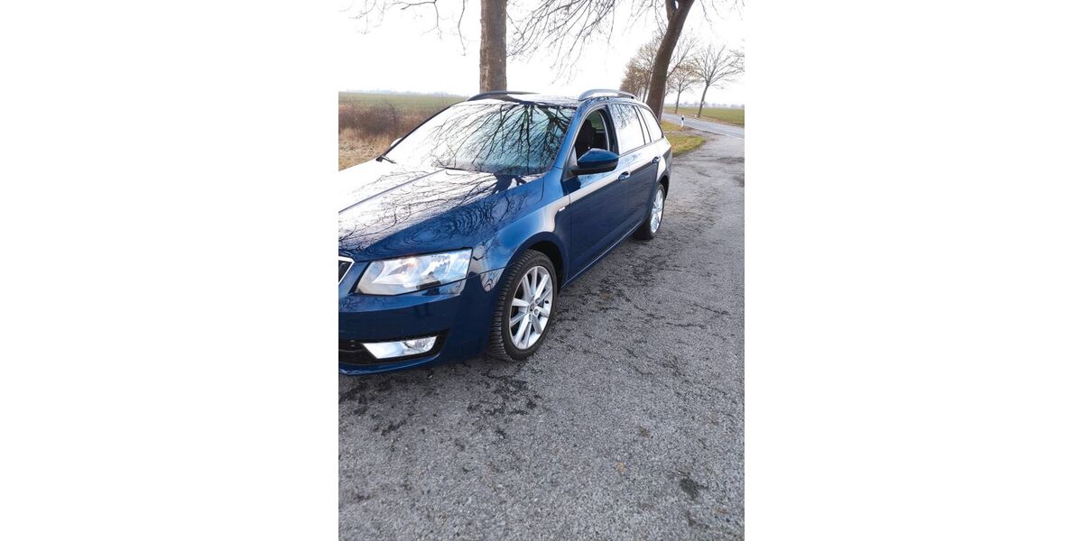 Skoda Octavia 166.099 km 8.600 &euro; Sarstedt 31157