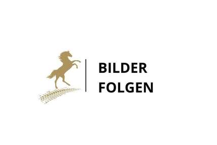 Mercedes-Benz V 250 167.300 km 29.900 &euro; Hannover 30457