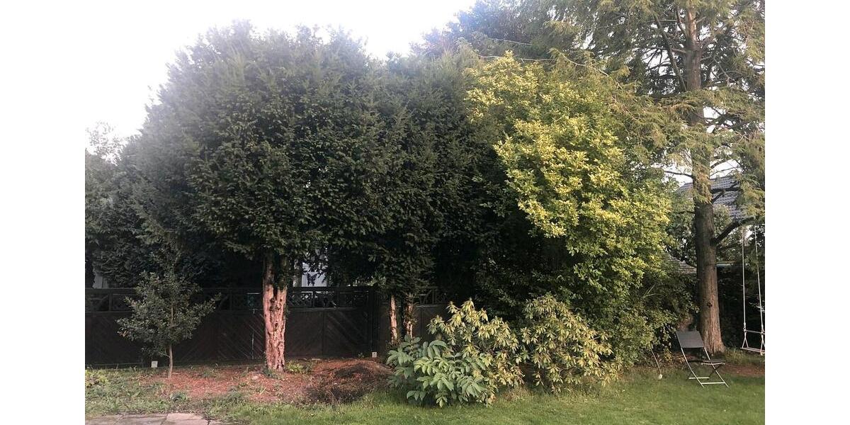 Mehrfamilienhaus, Wohnhaus Hannover Ricklingen - 10 Zimmer, 182 m&sup2;, 540.000&euro; | Angebot:27093233