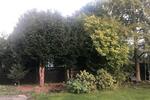Mehrfamilienhaus, Wohnhaus Hannover Ricklingen - 10 Zimmer, 182 m&sup2;, 540.000&euro; | Angebot:27093233