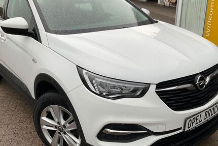 Opel Grandland (X) 58.245 km 18.690 &euro; Springe 31832
