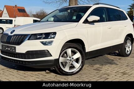 Skoda Karoq 250.100 km 12.300 &euro; Neustadt am Rübenberge 31535