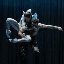 Schwanensee. Rotbarts Geschichte 26.06.2026 Staatsoper Hannover