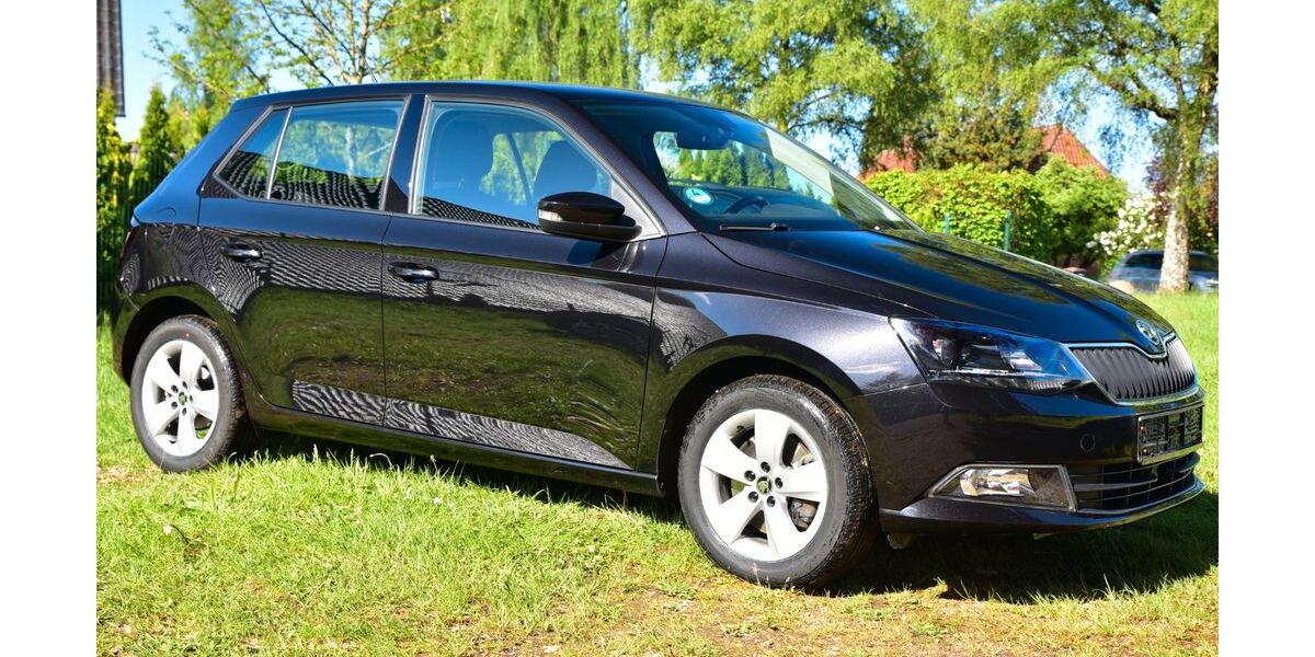 Skoda Fabia 66.456 km 10.599 &euro; Schwarmstedt 29690