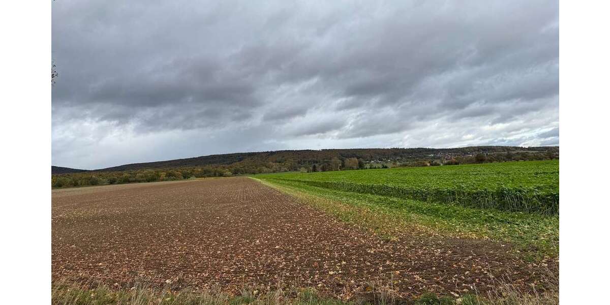 Grundstück Springe-Alvesrode Alvesrode - 135.000&euro; | Angebot:23623738