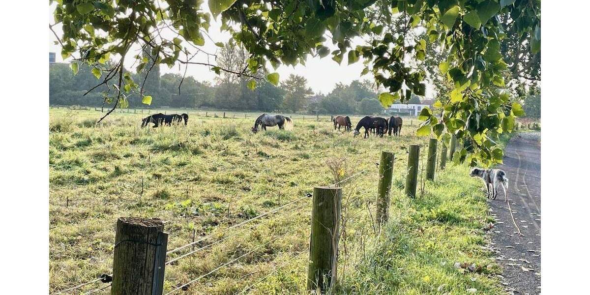 Bungalow Laatzen Alt-Laatzen - 5 Zimmer, 161 m&sup2;, 680.000&euro; | Angebot:25721087