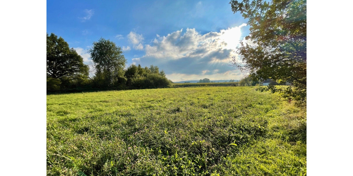 Grundstück Messenkamp - 78.750&euro; | Angebot:25705845