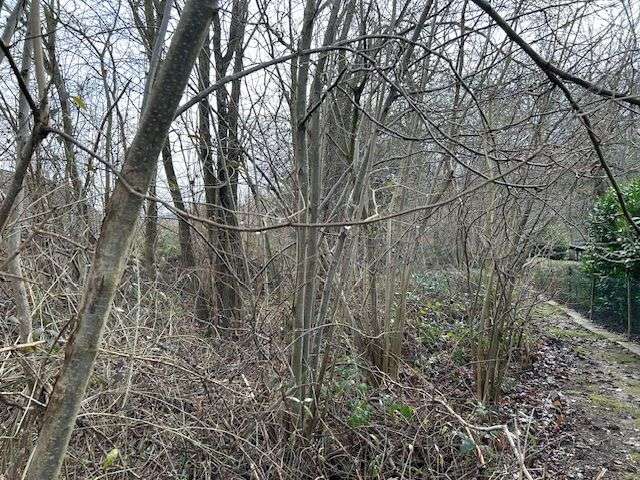 Grundstück Barsinghausen - 178.000&euro; | Angebot:7857804