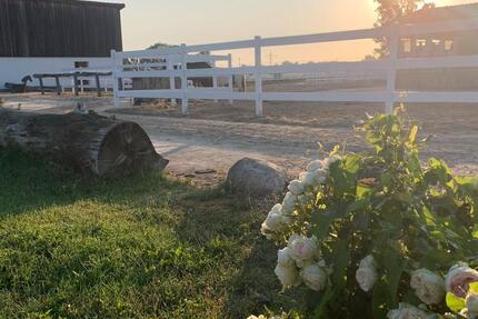 Wohnung Burgdorf - 4 Zimmer, 120 m&sup2;, 600&euro; | Angebot:25911051