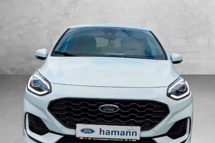 Ford Fiesta 2.500 km 24.290 &euro; Hannover 30453