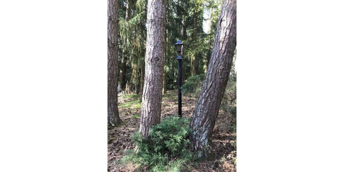 Grundstück Lindwedel - 175.000&euro; | Angebot:23155009