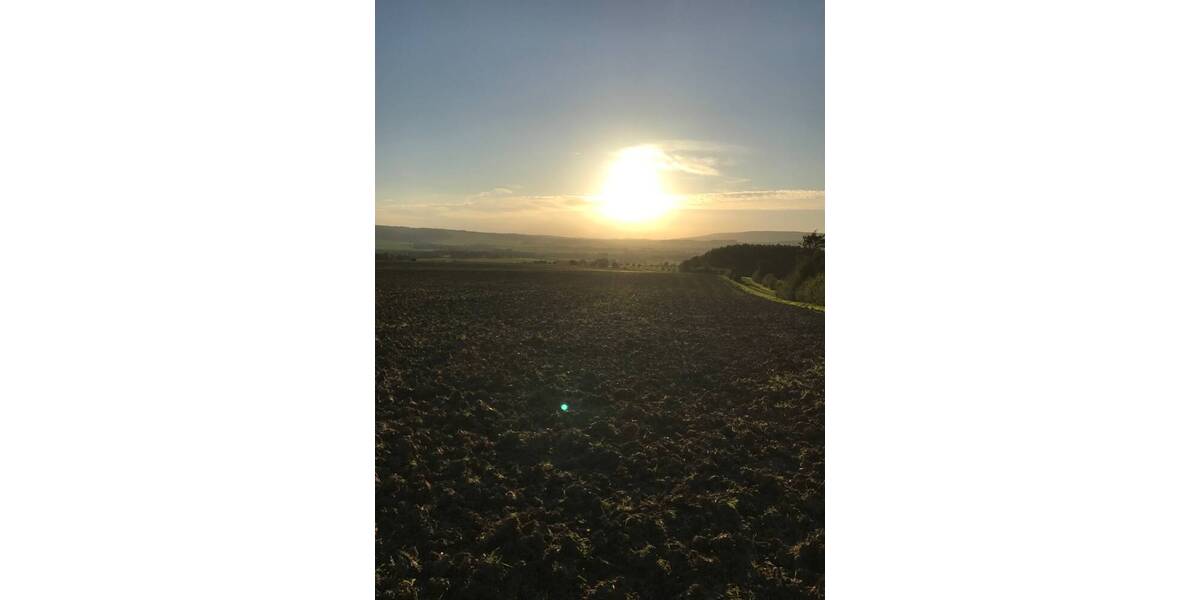 Grundstück Messenkamp - 285.000&euro; | Angebot:25705847