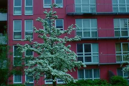 Wohnung Hannover Nordstadt - 2 Zimmer, 57 m&sup2;, 599&euro; | Angebot:26754698