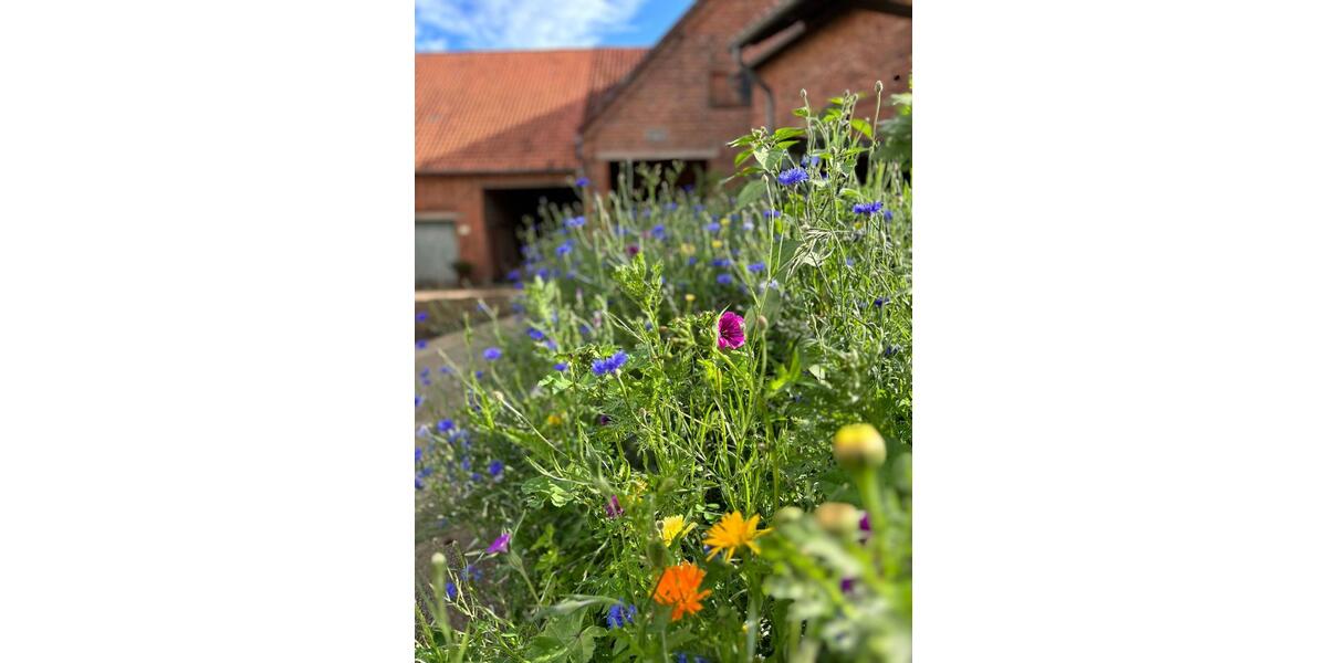 Gewerbeobjekt Wennigsen (Deister) - 520&euro; | Angebot:25728758