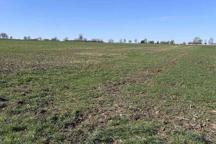 Grundstück Stadthagen - 77.000&euro; | Angebot:27016583